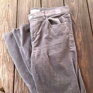 Loft- Women’s gray corduroy pants